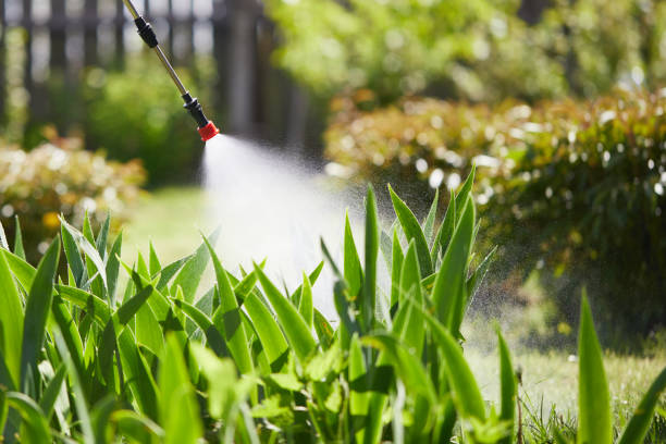 Tamper-Resistant Bait Stations for Rodents in Gleason