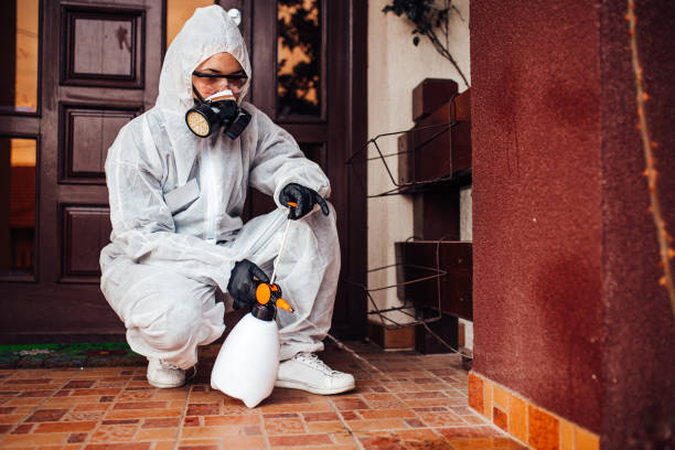 Attic and Crawl Space Rodent Treatment in Gleason