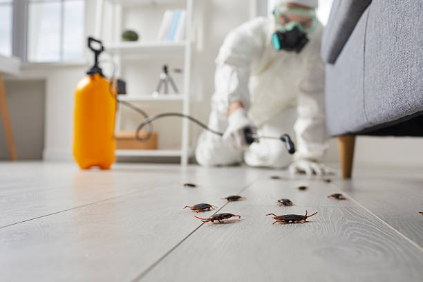 Commercial Rodent Management in Gleason